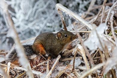 《四海兄弟：故乡》使用D加密 PC配置需求公布